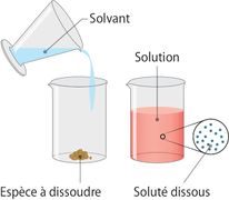 Aqueuse Les solutions aqueues | Genially