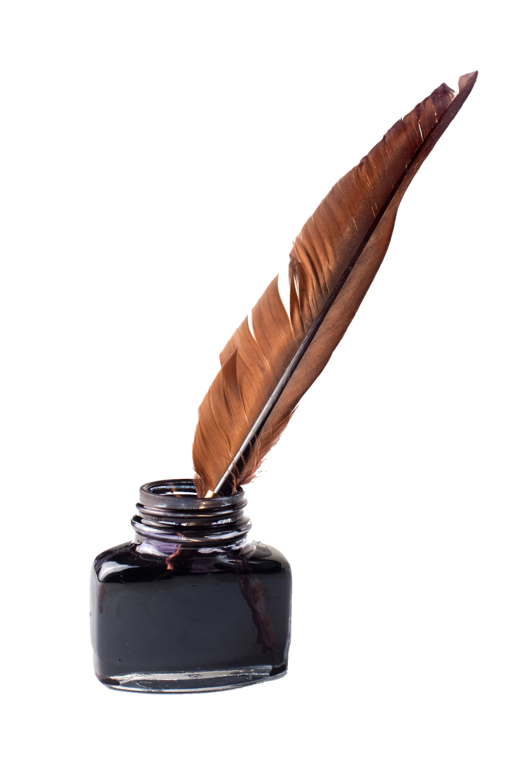 Кутя цікаві факти