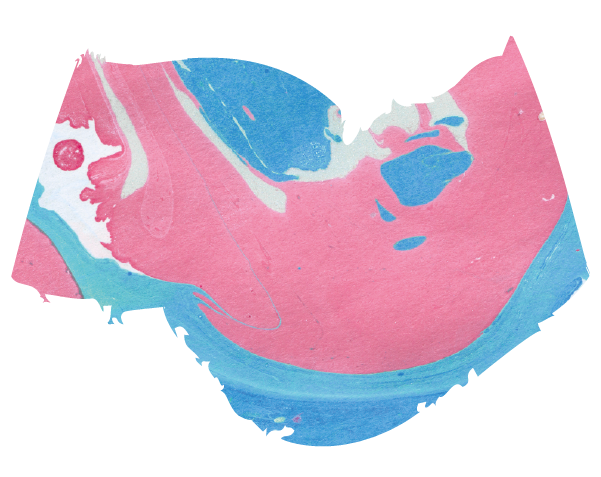 Storie Genially Academy