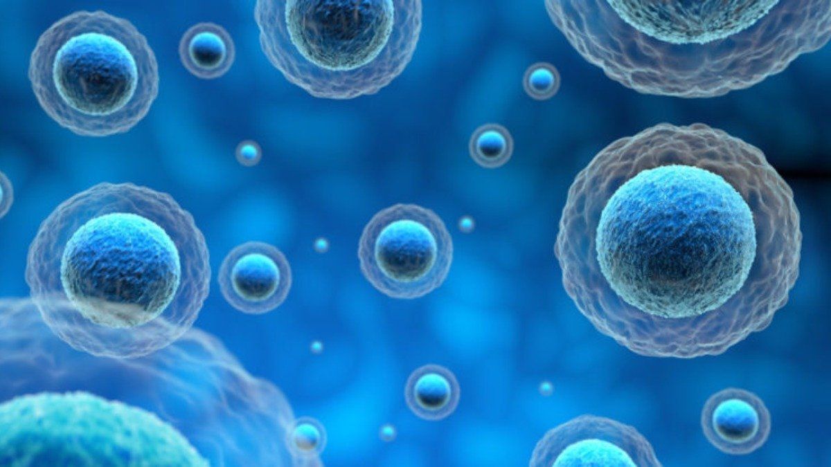 LES CELLULES SIXIÈME | Genially