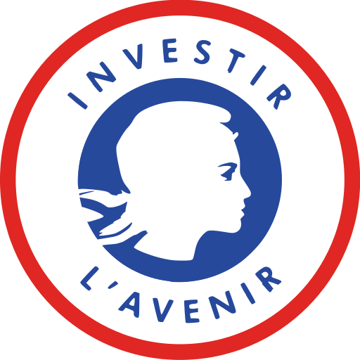 Illustrated Creativity Info Genially