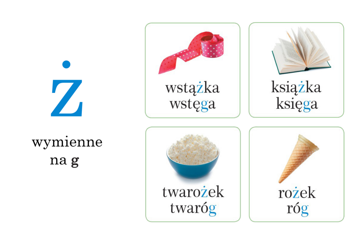 Na Co Wymienia Się ż Z Kropką Copy - Ż wymienia się na G | Genially