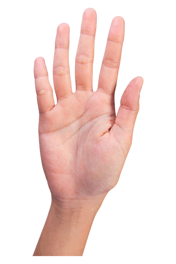 Number 5 | Genially