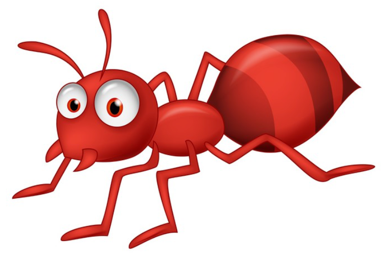 partes de la hormiga | Genially