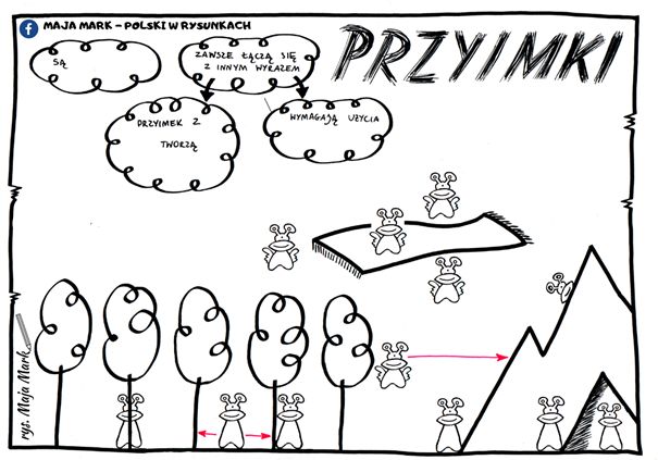 Przysłówek Przyimek Sprawdzian Klasa 5 Chomikuj przyimek rysnotka i cwiczenia