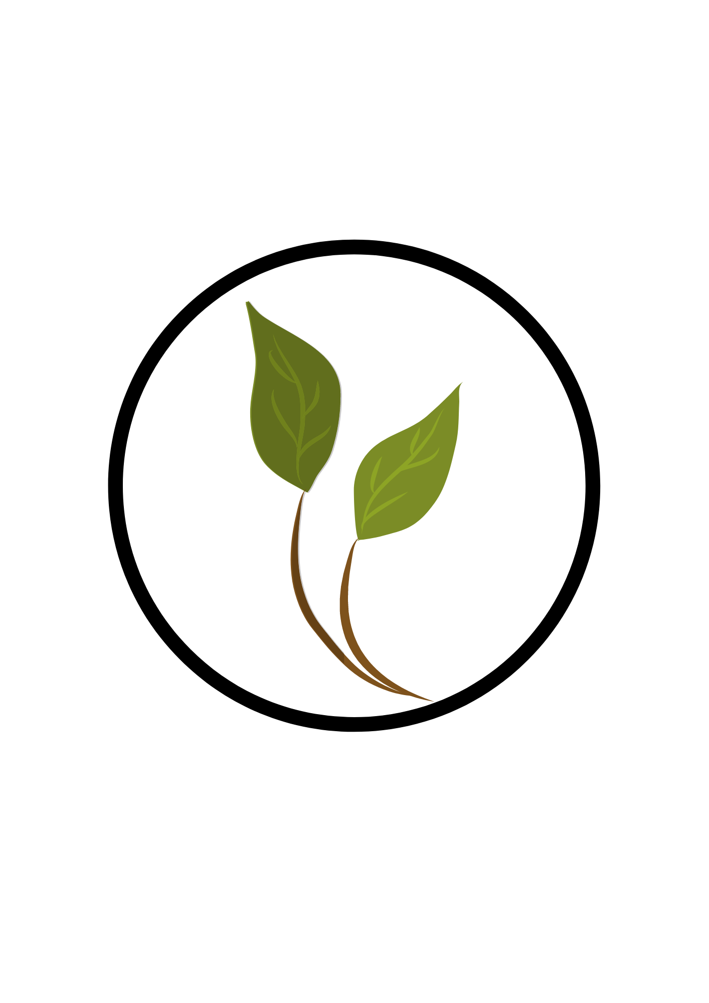 PLANTA ACUATICA O TERRESTRE Genially
