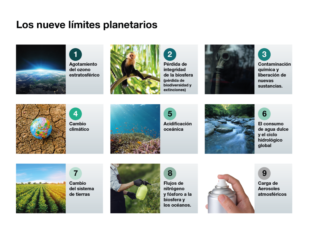 Cap 3 Fig 3 | Genially