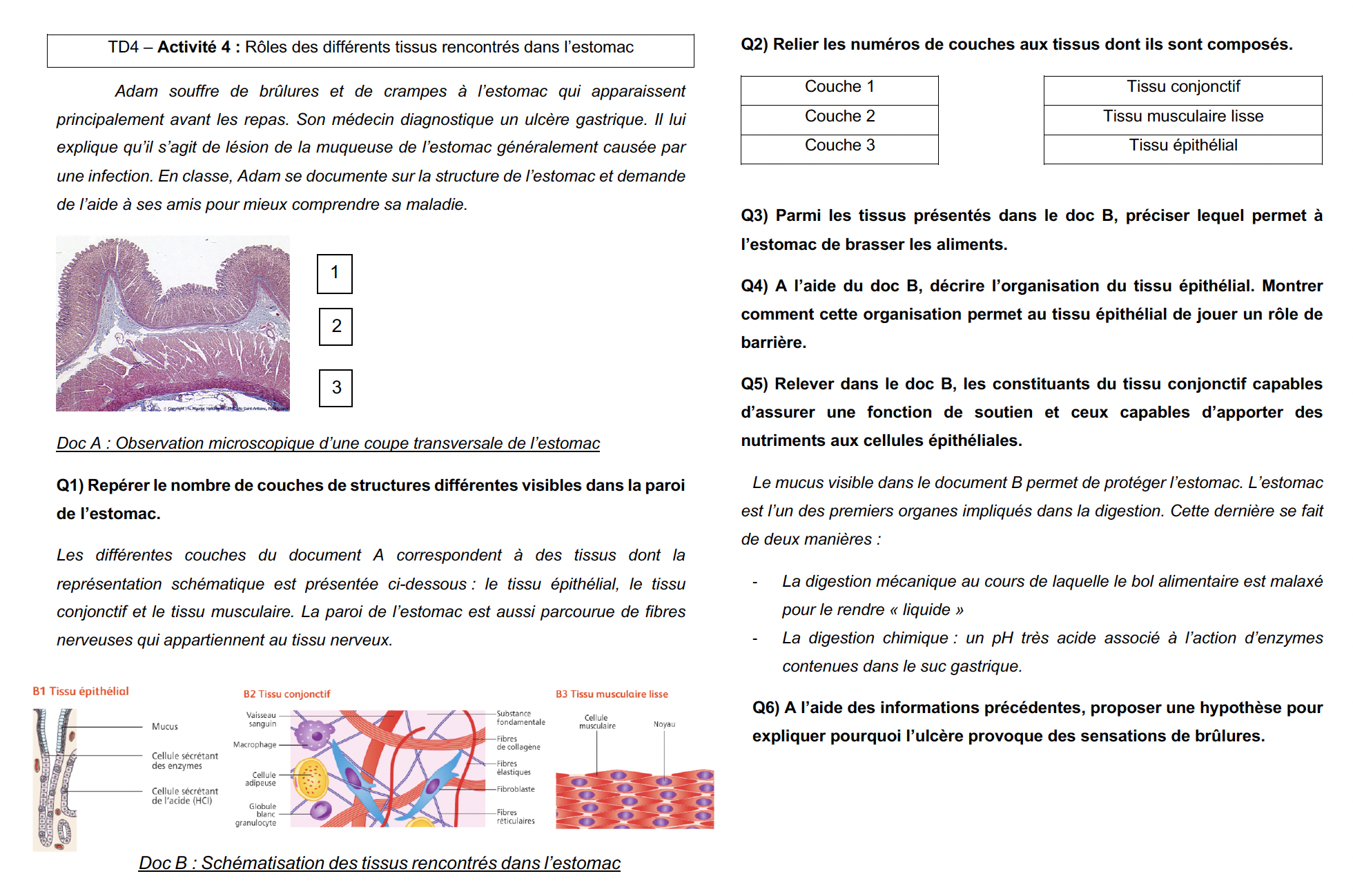 TD4 exercice | Genially