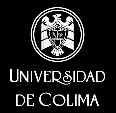 Mi primera empresa | Genially