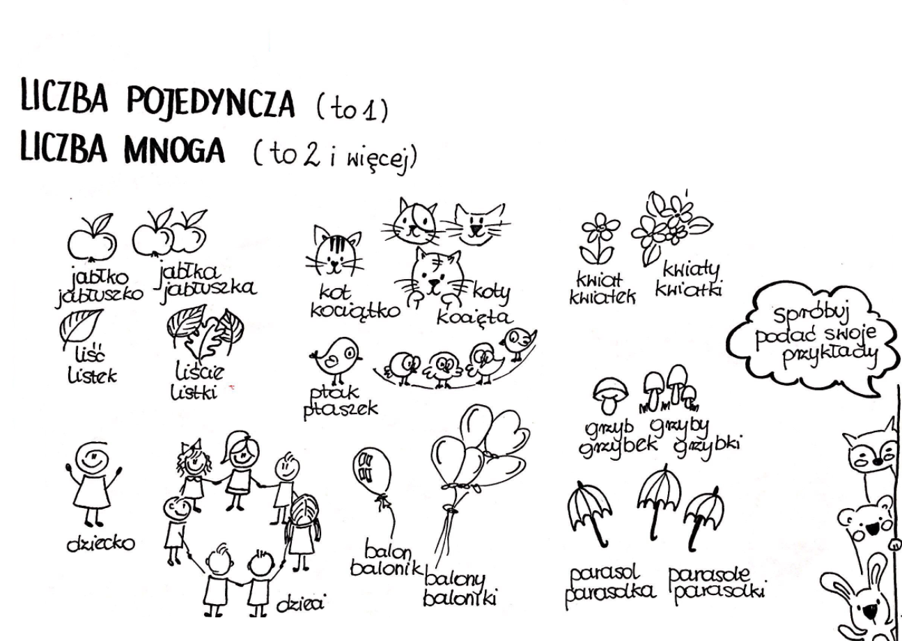 Liczba pojedyncza i mnoga