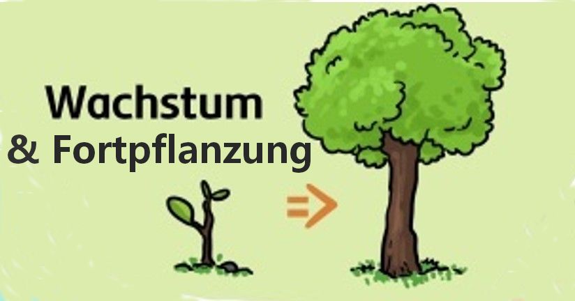 Kennzeichen des Lebens | Genially