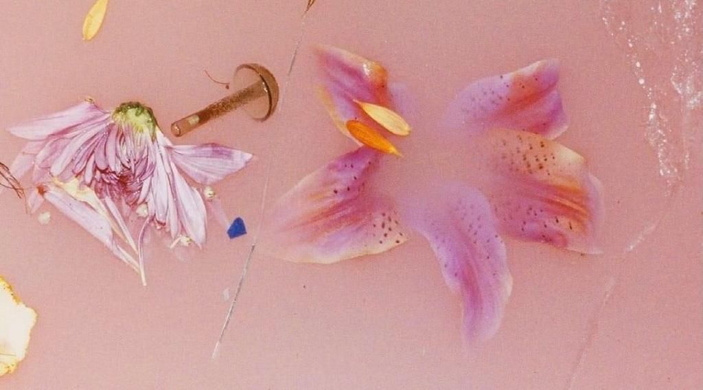 Raidné Ximena | Genially