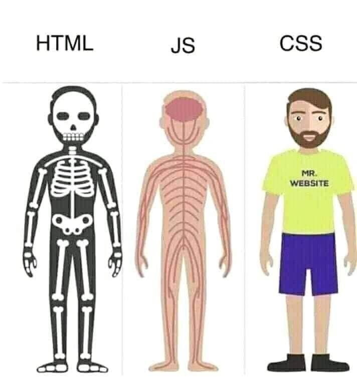 CSS AND HTML DIFFERENCE | Genially
