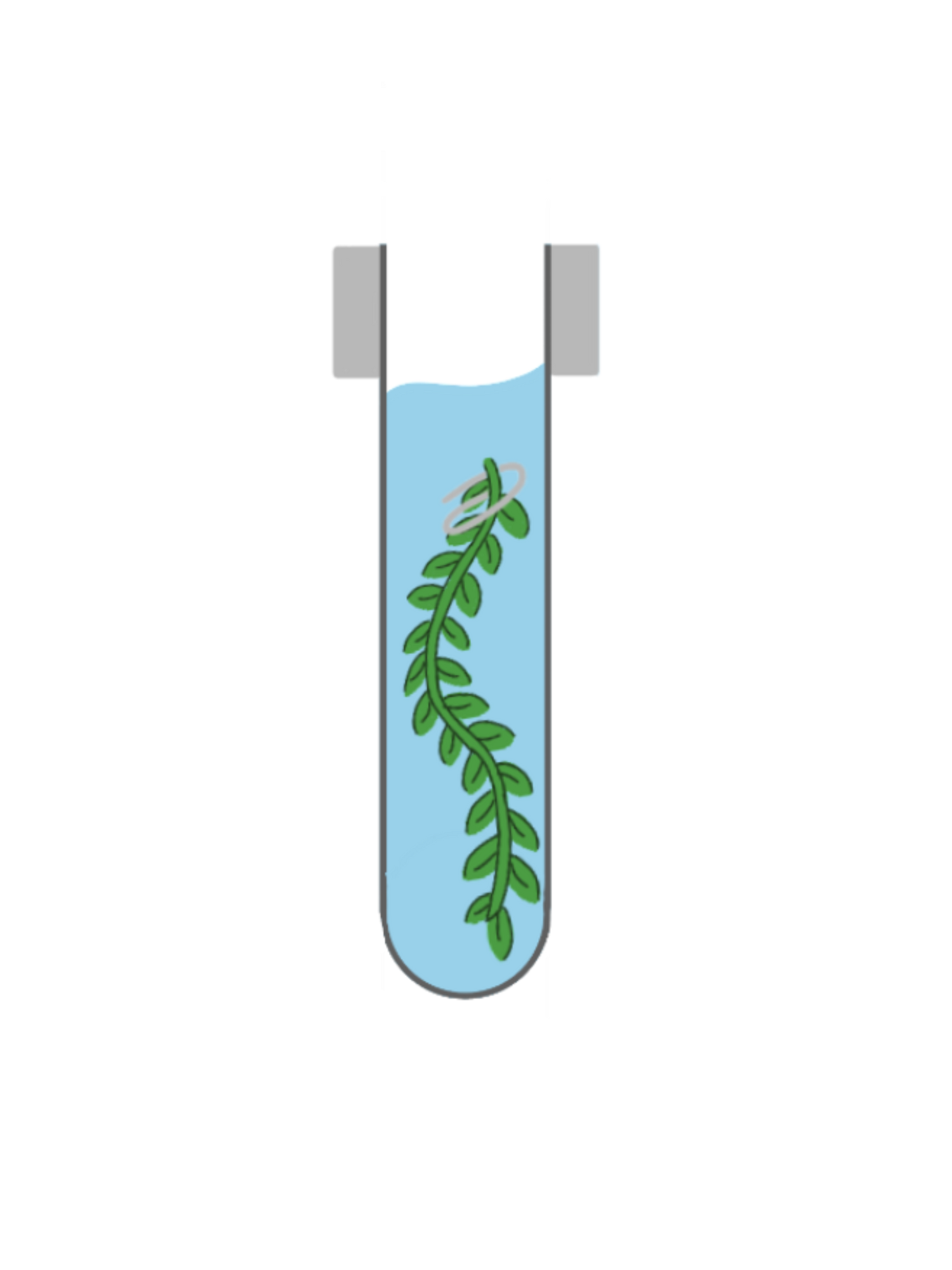 Science poster | Genially