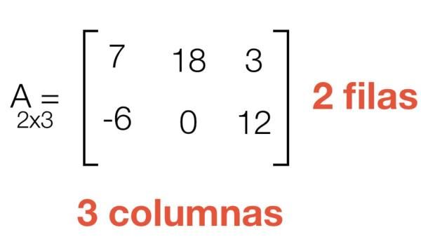 Infografia Acerca de las matrices | Genially