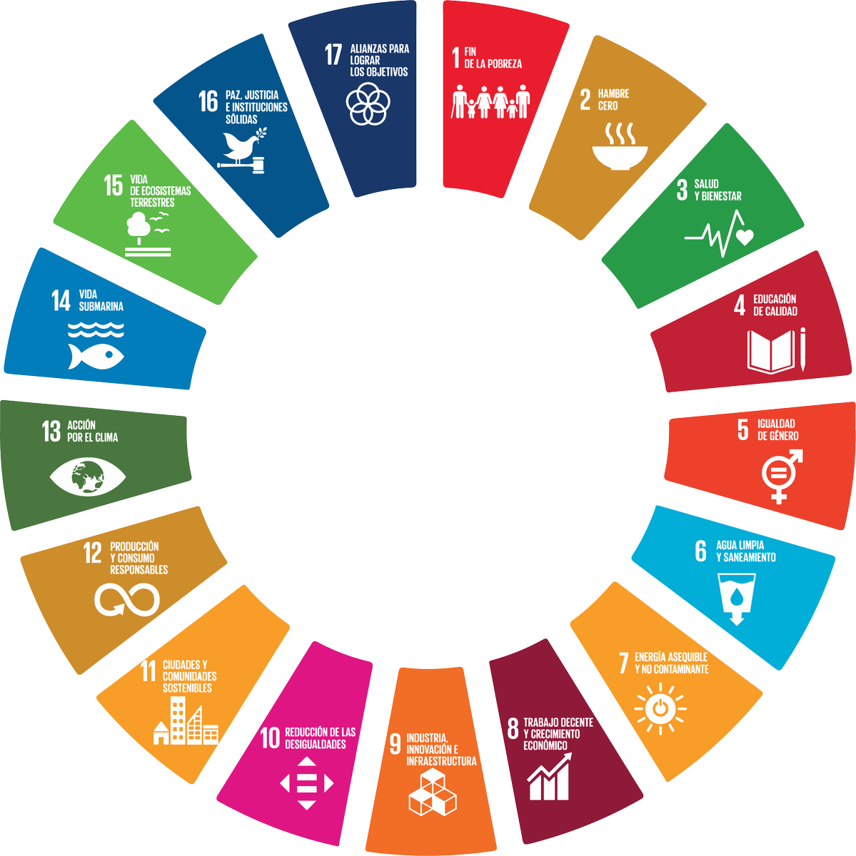 Infografía ODS-Carla Guanilo | Genially