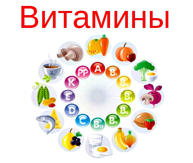 Витамины и их роль в питании людей