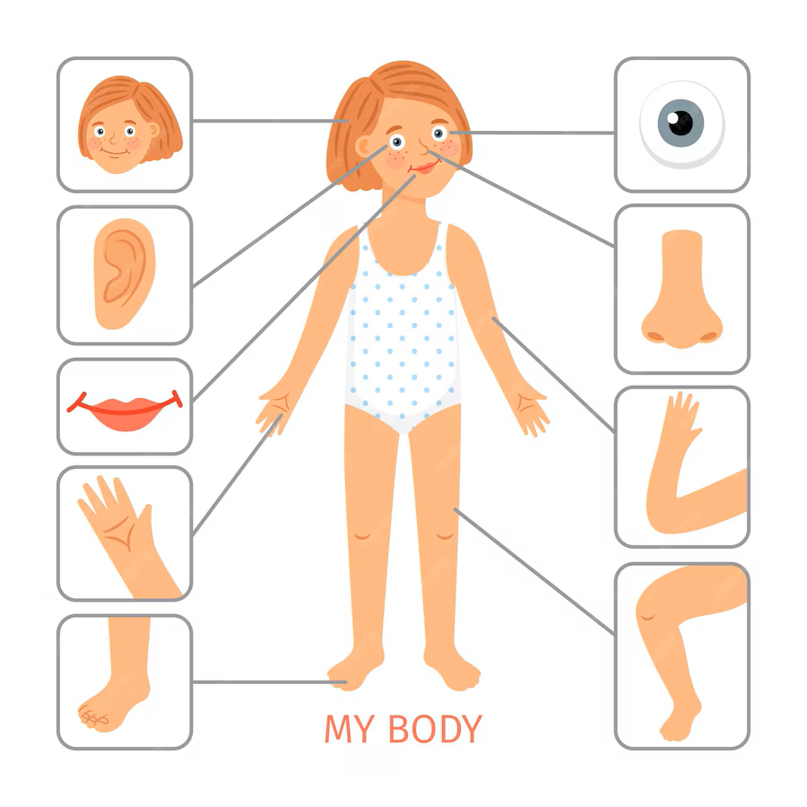 Let's Explore the Human Body! | Genially