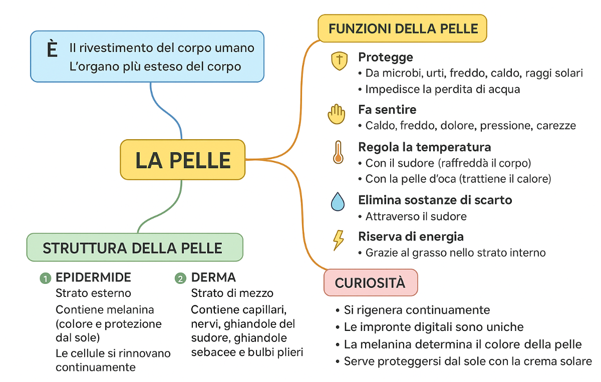 Titolo 1 | Genially